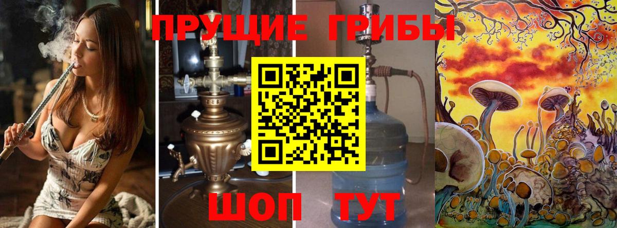 Псилоцибиновые грибы мицелий Ноябрьск