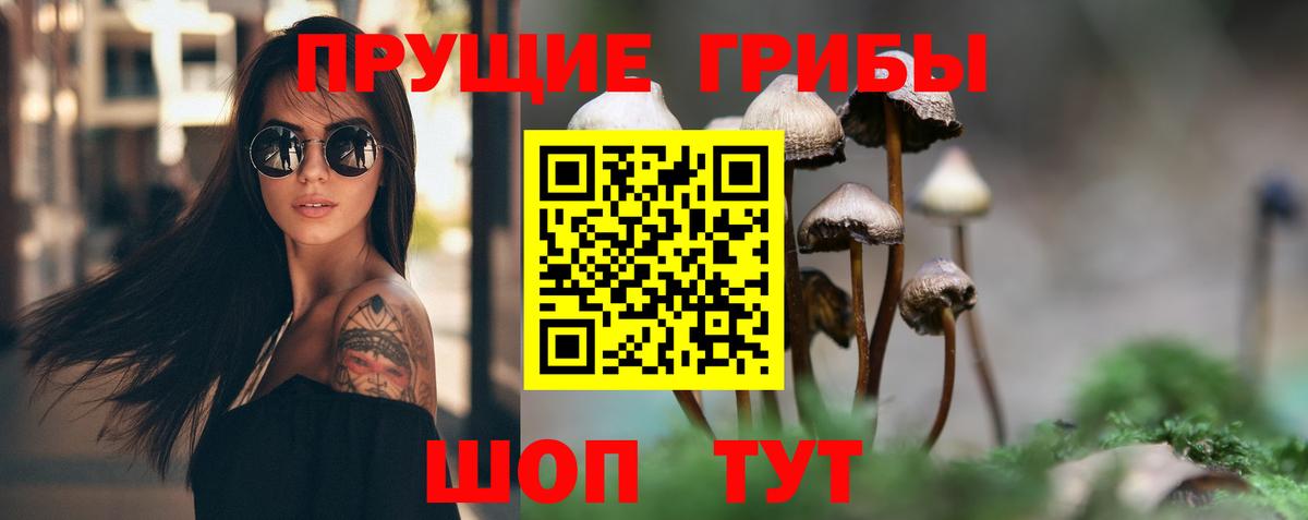 Ноябрьск  Псилоцибиновые грибы Psilocybine cubensis  Вход с VPN  Галлюциногенные грибы MAGIC MUSHROOMS 